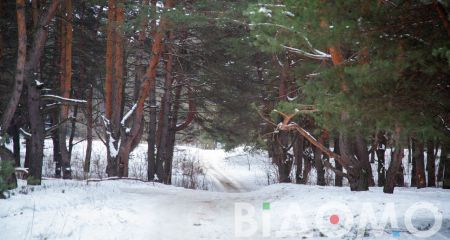 Сильний мороз та ожеледь. Якою буде погода у Дніпрі та області 1 лютого