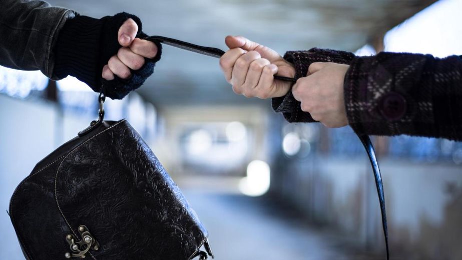 В Кривом Роге молодая девушка дерзко вырвала из рук женщины сумку и сбежала (ФОТО)