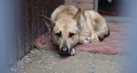 В одному з районів Д...
