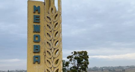 В Межевой оккупанты разрушили аграрный лицей-интернат (ВИДЕО)