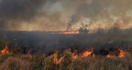 У Дніпрі на Березанівці палає очерет (ВІДЕО)