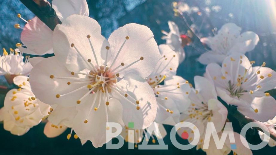 Якою буде погода у Дніпрі та області 18 квітня