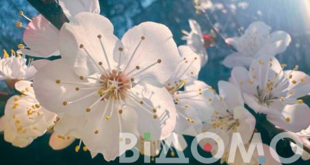 Якою буде погода у Дніпрі та області 30 квітня