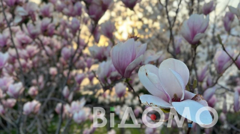 Якою буде погода у Дніпрі та області 29 квітня