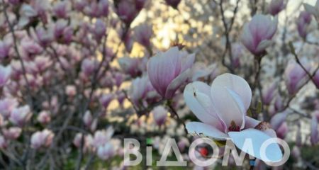 Хмарно та невеликий дощ: якою буде погода у Дніпрі та області 1 травня