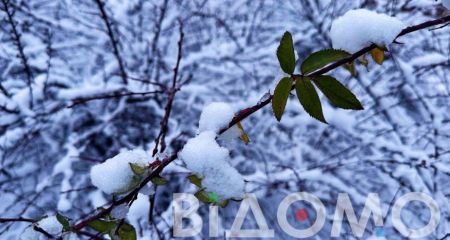 Хмарність та сніг з дощем: якою буде погода у Дніпрі та області 3 січня