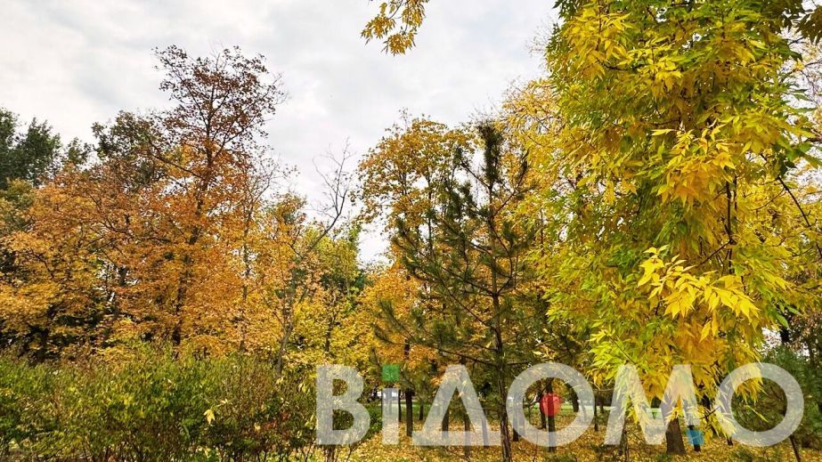 Якою буде погода у Дніпрі та області 1 листопада