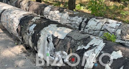 Ситуація катастрофічна: у Дніпрі безхатченки масово нищать теплотраси (ФОТО)