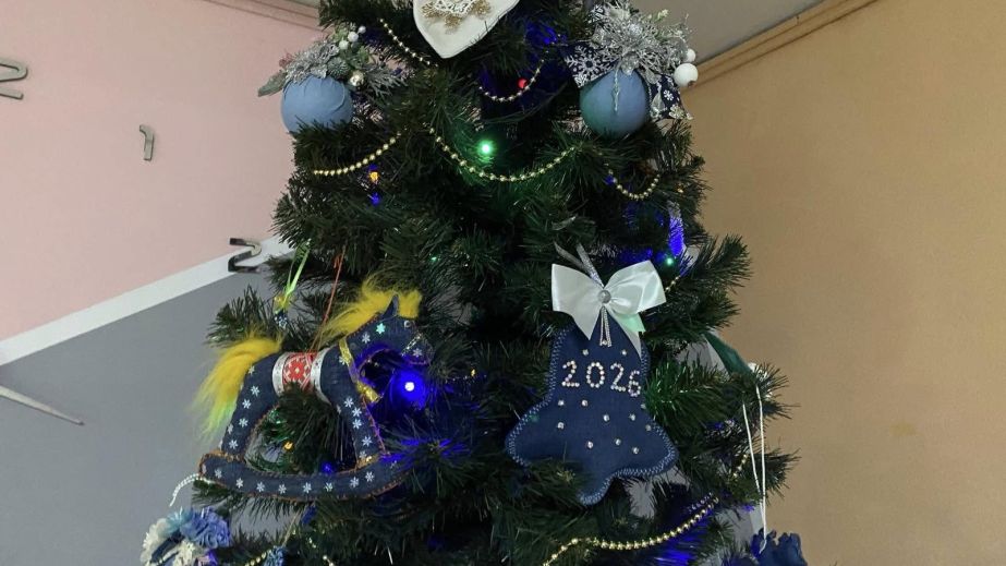 У Павлоградському ліцеї створили незвичну джинсову ялинку (ФОТО)