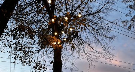В Днепре и области 17 октября вводятся графики почасовых отключений света