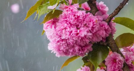 Дождь со снегом и заморозками: какой будет погода в Днепре и области 24 апреля