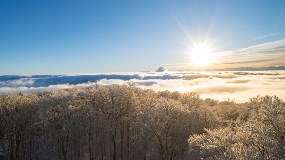 Какой будет погода в Днепре и области 25 февраля