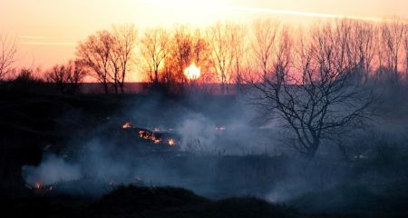 У середмісті Кривого Рогу хулігани підпалили сухостій (ВІДЕО)