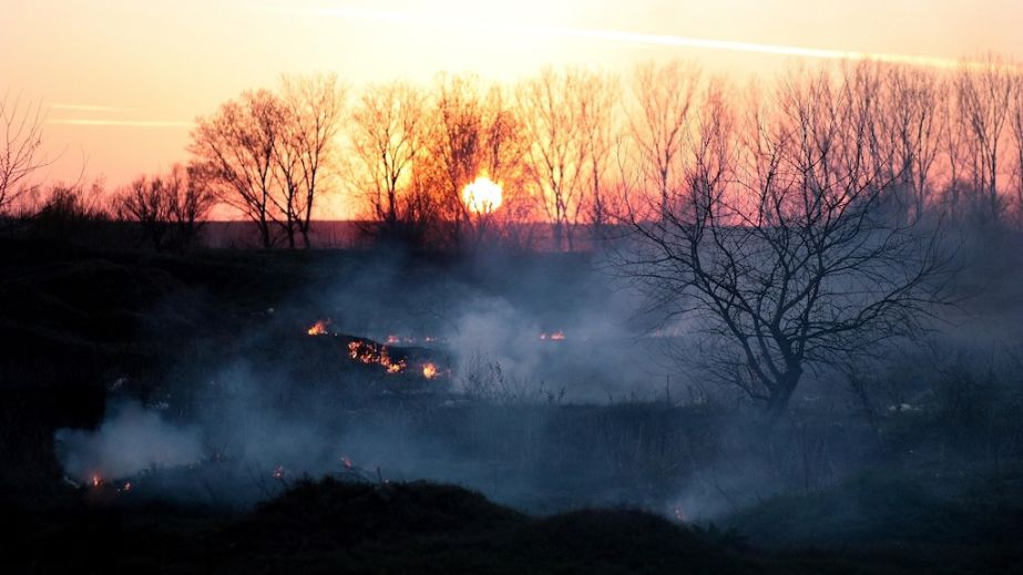 У середмісті Кривого Рогу хулігани підпалили сухостій (ВІДЕО)