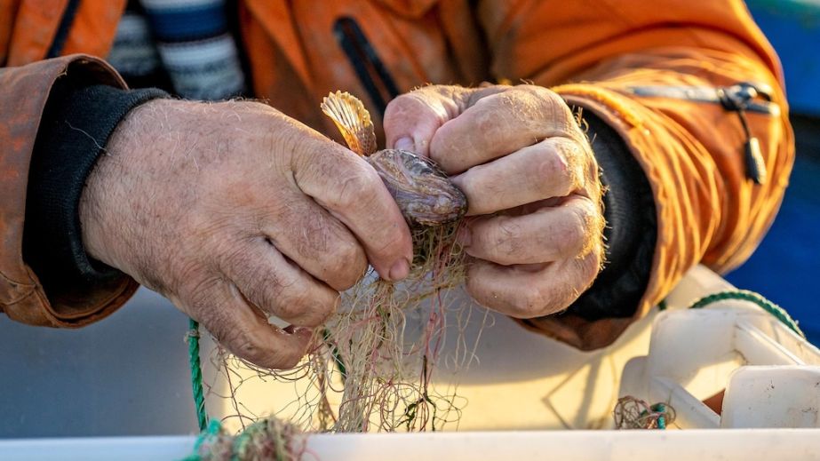 Порибалив на майже 150 000 гривень: на Дніпропетровщині спіймали браконьєра (ФОТО)
