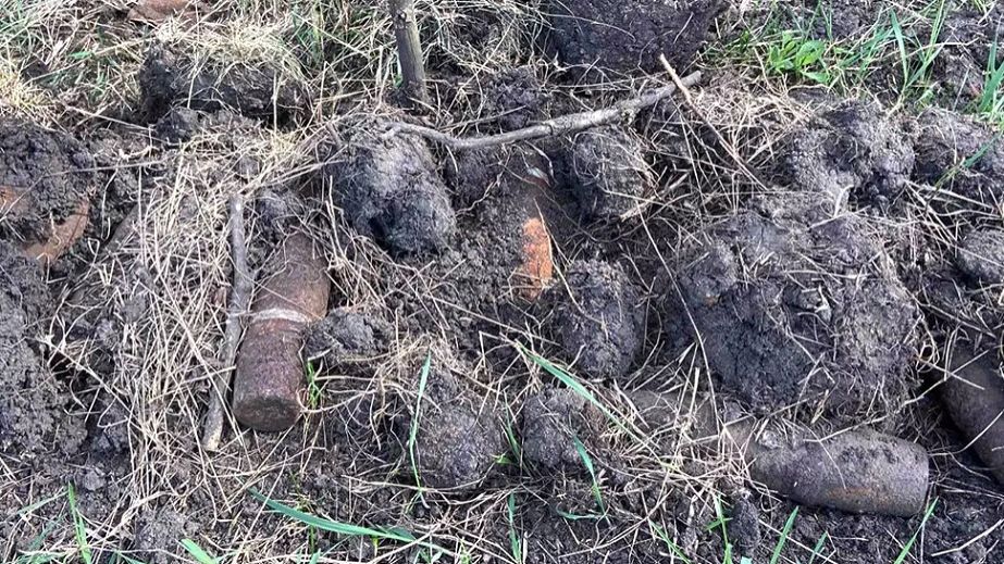 В Криворожском районе в поле обнаружили более 50 боеприпасов