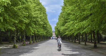 Пьяный водитель чуть не сбил детей в парке на Днепропетровщине (ФОТО, ВИДЕО)