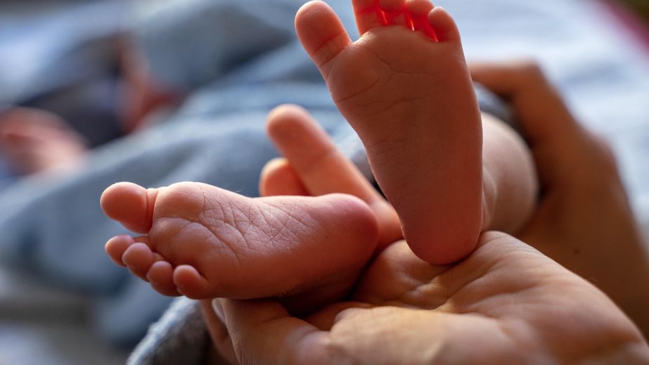 За добу 16 серпня у Дніпрі народилися 11 малюків