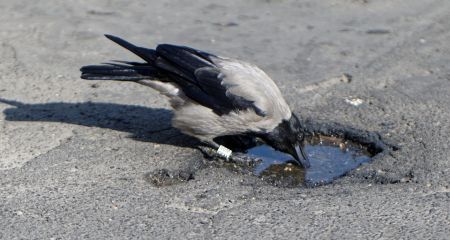 У Дніпрі відкрився портал у потойбічний світ (ВІДЕО)