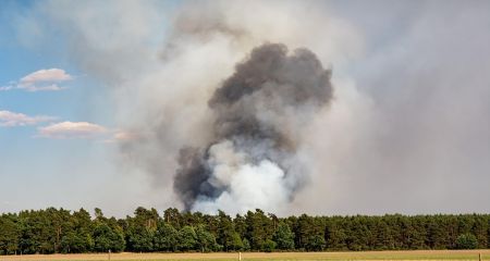 В Кривом Роге масштабный пожар подбирается к домам (ВИДЕО)