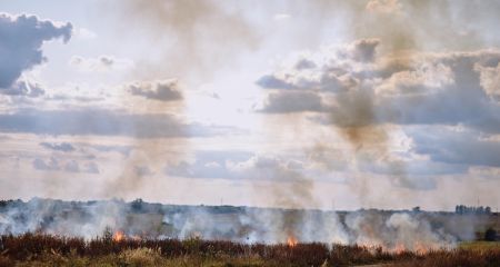 Вздовж траси на Дніпропетровщині сталося масштабне займання сухостою (ВІДЕО)