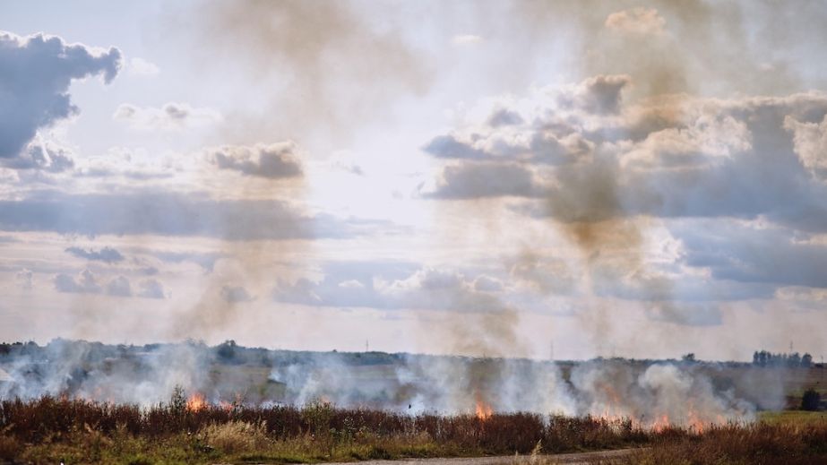 Вздовж траси на Дніпропетровщині сталося масштабне займання сухостою (ВІДЕО)