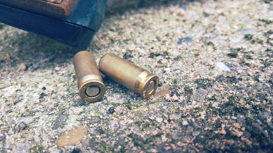 У Кривому Розі нелюд розстрілює тварин та птахів (ФОТО, ВІДЕО 18+)