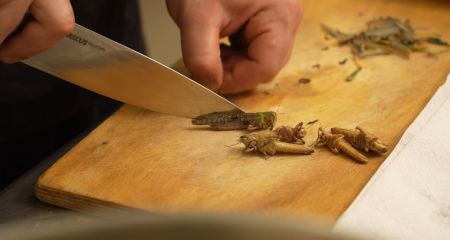 Вкусняшка из саранчи: в ресторанах Днепра начали готовить насекомых (ФОТО, ВИДЕО)