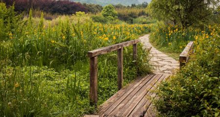 У Кривому Розі пішов під воду міст, яким діти ходять до школи (ВІДЕО)