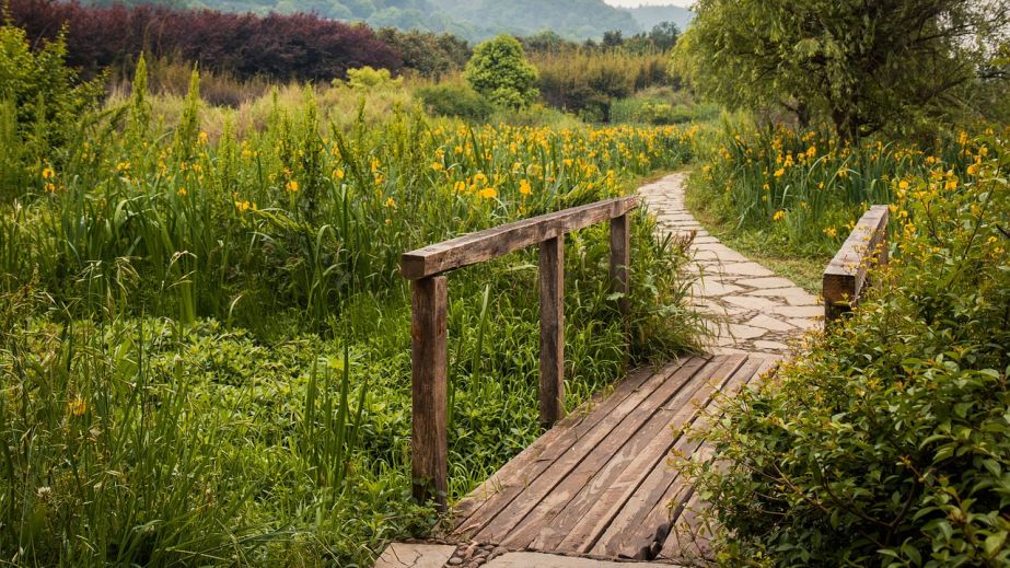 У Кривому Розі пішов під воду міст, яким діти ходять до школи (ВІДЕО)