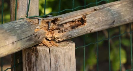 На Дніпропетровщині пʼяні співробітники ТЦК знесли паркан військового ЗСУ на Великдень (ФОТО)