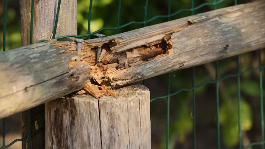 На Дніпропетровщині пʼяні співробітники ТЦК знесли паркан військового ЗСУ на Великдень (ФОТО)