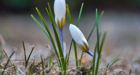 Без осадков и до +14&deg;: какой будет погода на Днепропетровщине 22 марта