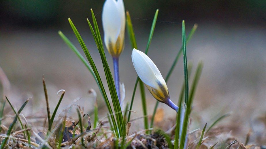 Без опадів і до +14&deg;: якою буде погода на Дніпропетровщині 22 березня