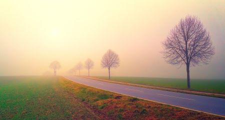 Туман не отступает: какой будет погода в Днепре и области 22 декабря