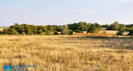 Земля повернулася державі: на Дніпропетровщині прокуратура відбила ділянку заповідного фонду (ФОТО)