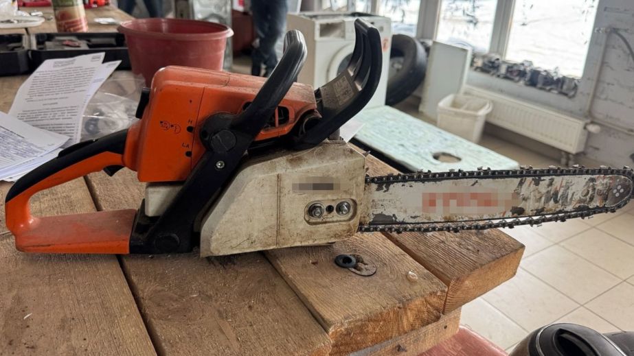 "Черные" лесорубы напилили деревьев в защитных лесополосах Днепровского района более чем на миллион гривен (ФОТО)