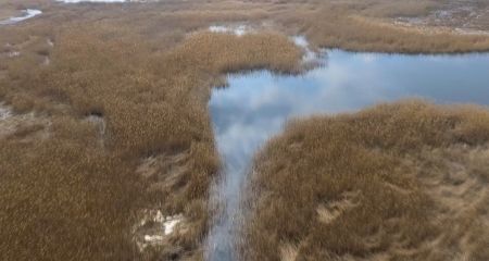 Подделали документы и незаконно арендовали 72 га ландшафтного заказника на Днепропетровщине (ФОТО)