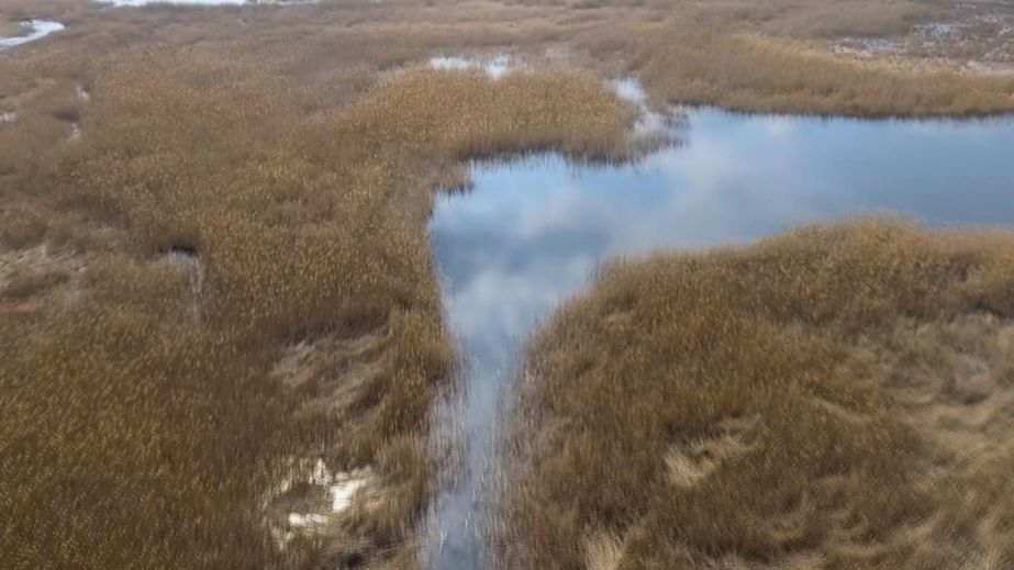 Підробили документи та незаконно орендували 72 га ландшафтного заказника на Дніпропетровщині (ФОТО)