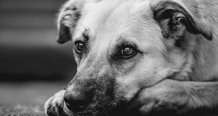 Под обстрелами и без...