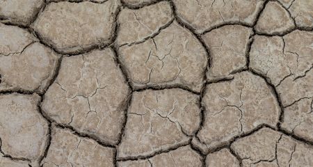 Экологическая катастрофа на Криворожье: в районе массово высыхают водоемы (ВИДЕО)