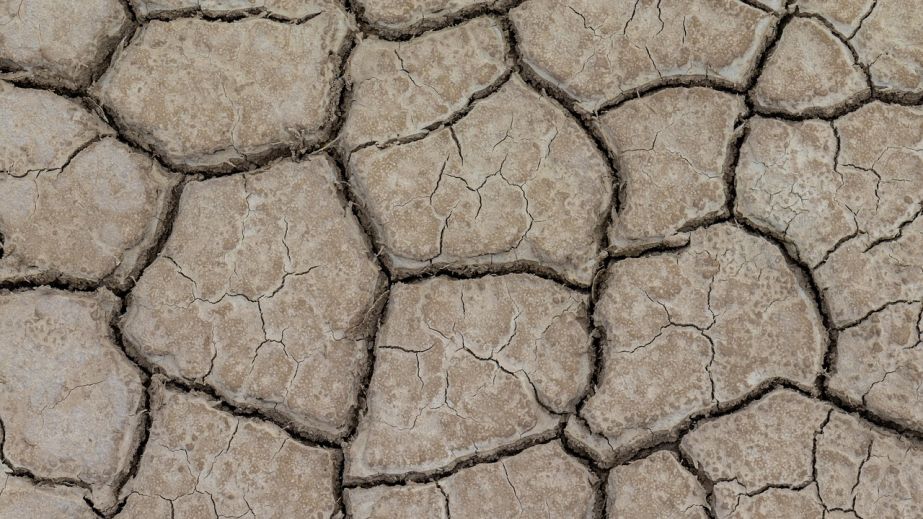 Екологічна катастрофа на Криворіжжі: у районі масово висихають водойми (ВІДЕО)
