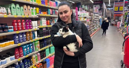 Працює за їжу: у Кривому Розі зіркою стала місцева працівниця гіпермаркету кішка Соня (ФОТО)
