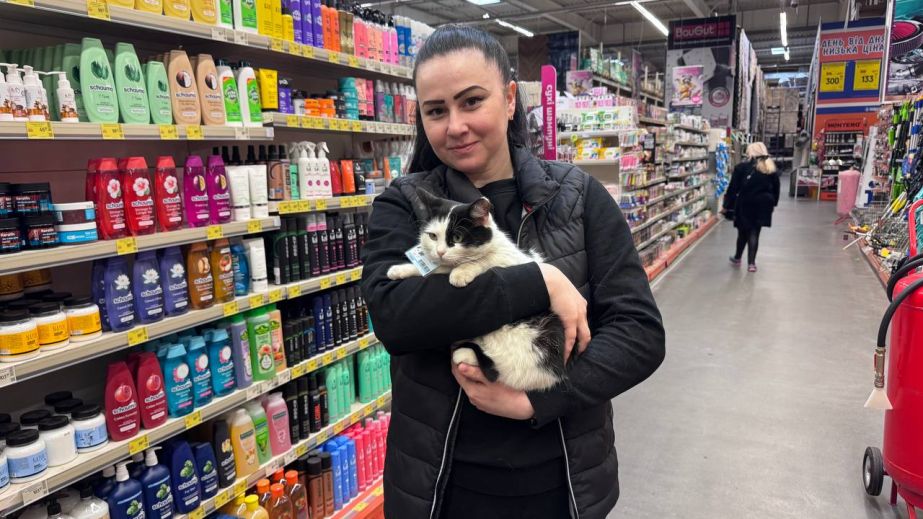 Работает за еду: в Кривом Роге звездой стала местная сотрудница гипермаркета кошка Соня (ФОТО)