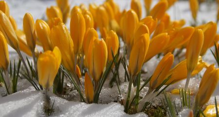 Наконец-то весна: какой будет погода в Днепре и области 1 марта