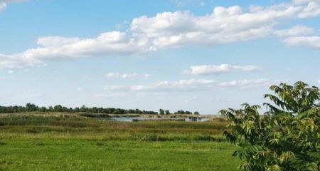 На Дніпропетровщині фермер незаконно орендував землю заповідника: прокуратура повернула територію державі