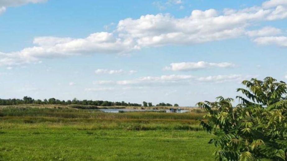 На Дніпропетровщині фермер незаконно орендував землю заповідника: прокуратура повернула територію державі