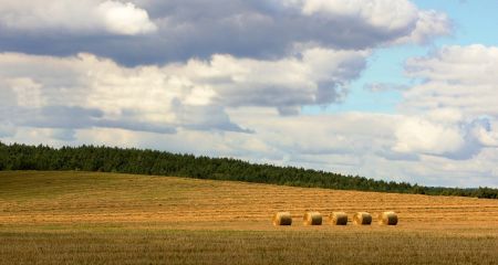 Якою буде погода у Дніпропетровському регіоні 6 серпня