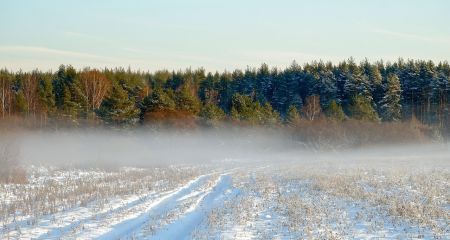 Какой будет погода в Днепре и области 17 декабря