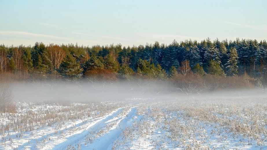 Якою буде погода у Дніпрі та області 17 грудня